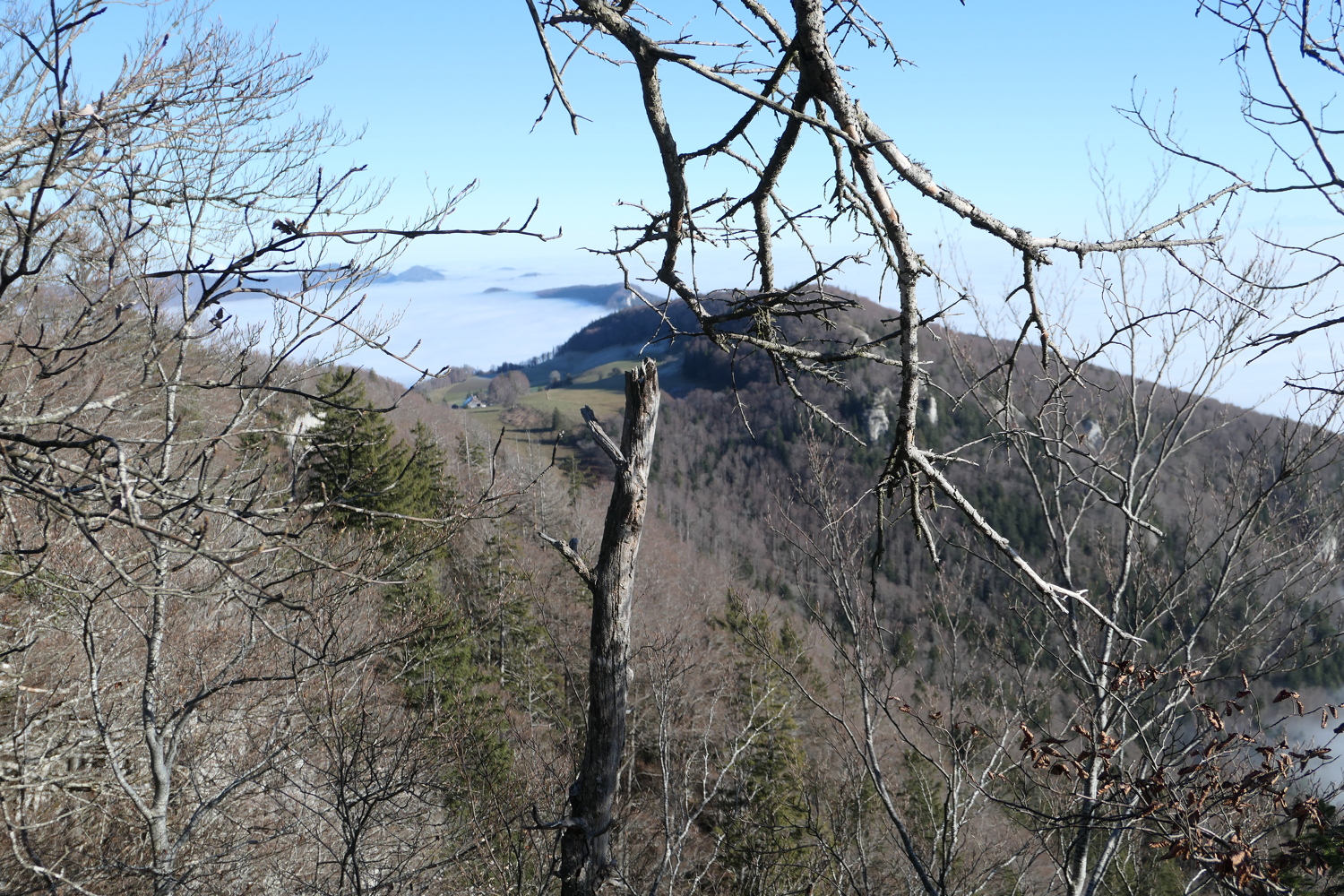 p1050476.jpg