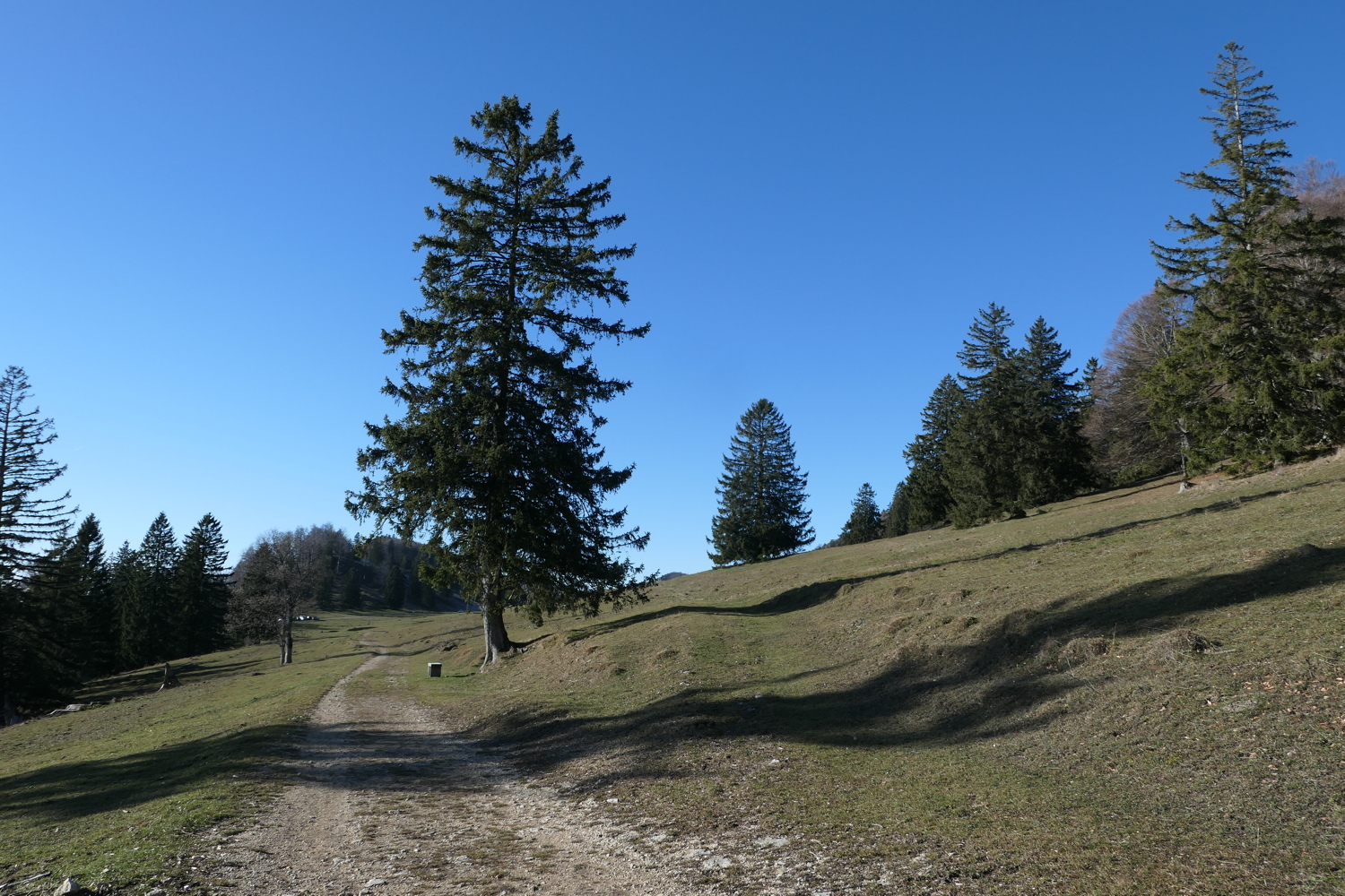 p1050479.jpg