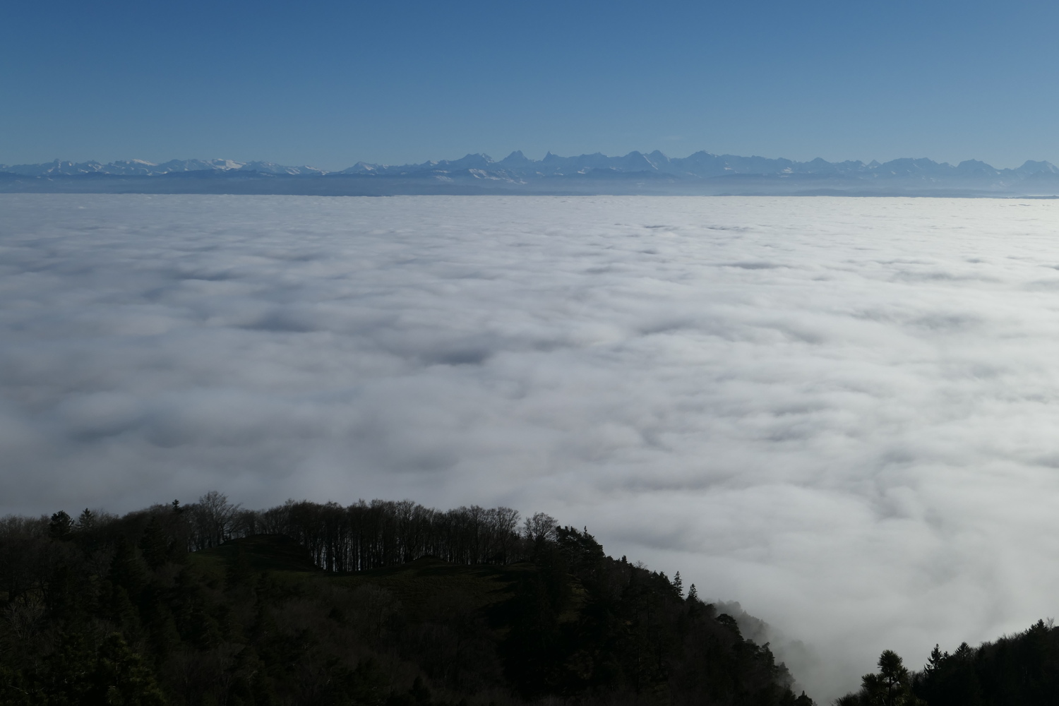 p1050491.jpg