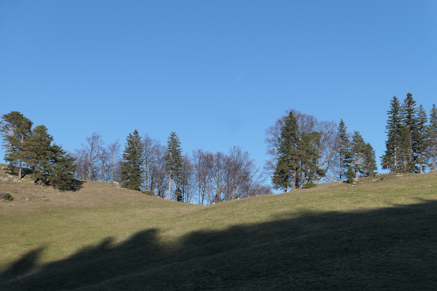 p1050496.jpg