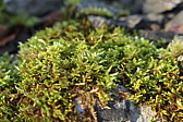 p1050462.jpg