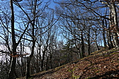 p1050467.jpg
