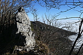 p1050474.jpg