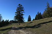 p1050479.jpg