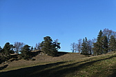 p1050495.jpg