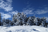 p1050357.jpg