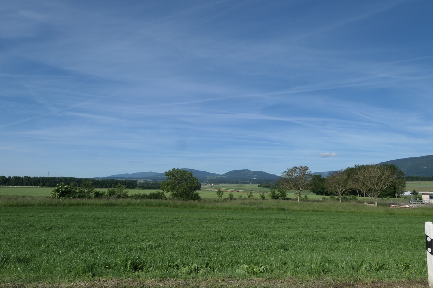 p1020162.jpg