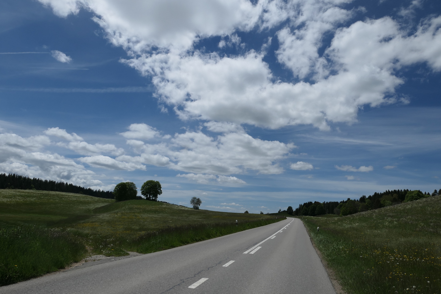 p1020171.jpg