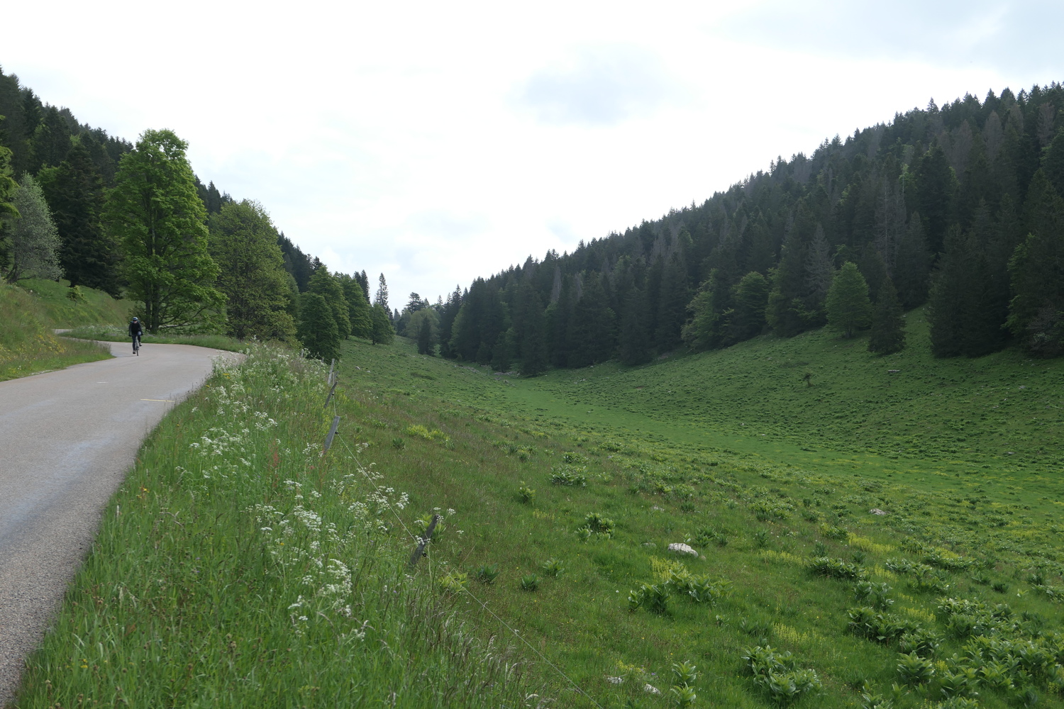 p1020180.jpg
