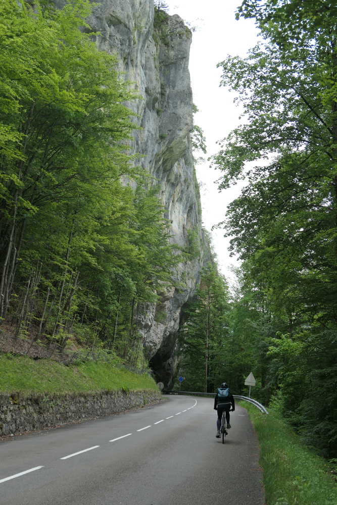 p1020187.jpg