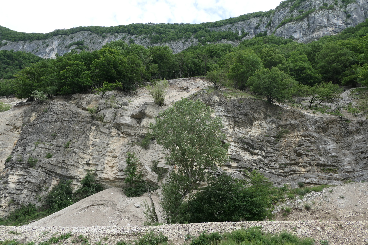 p1020202.jpg