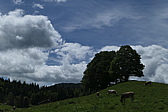 p1020168.jpg