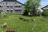p1020170.jpg