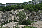 p1020202.jpg