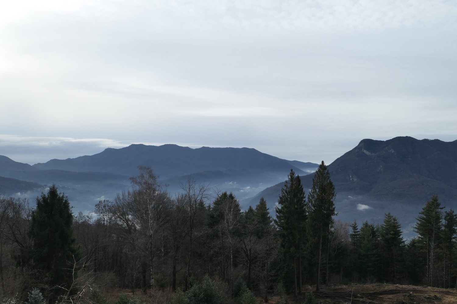 p1050510.jpg