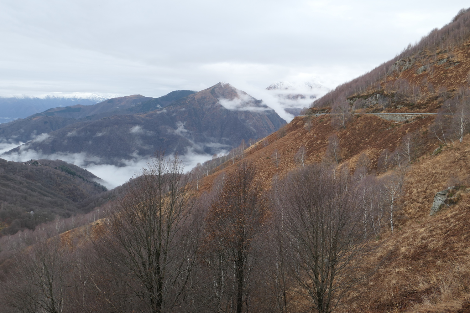 p1050552.jpg