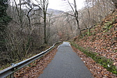 p1050518.jpg