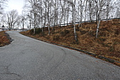 p1050545.jpg