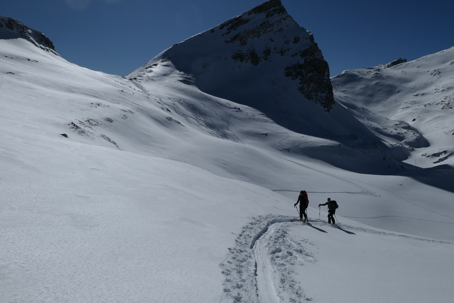 p1010433.jpg