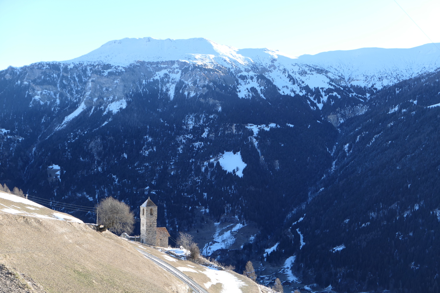 p1010441.jpg