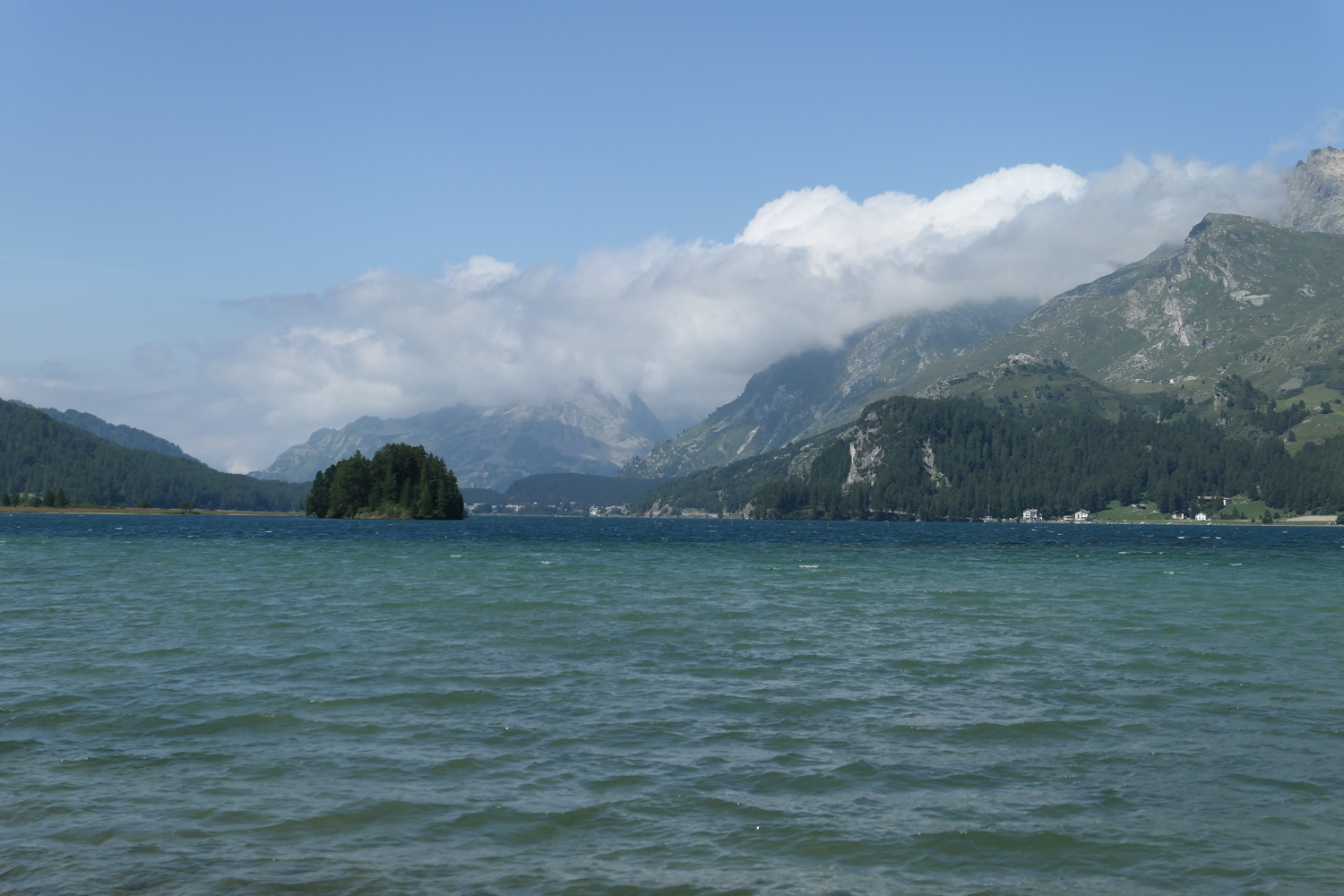 p1020942.jpg