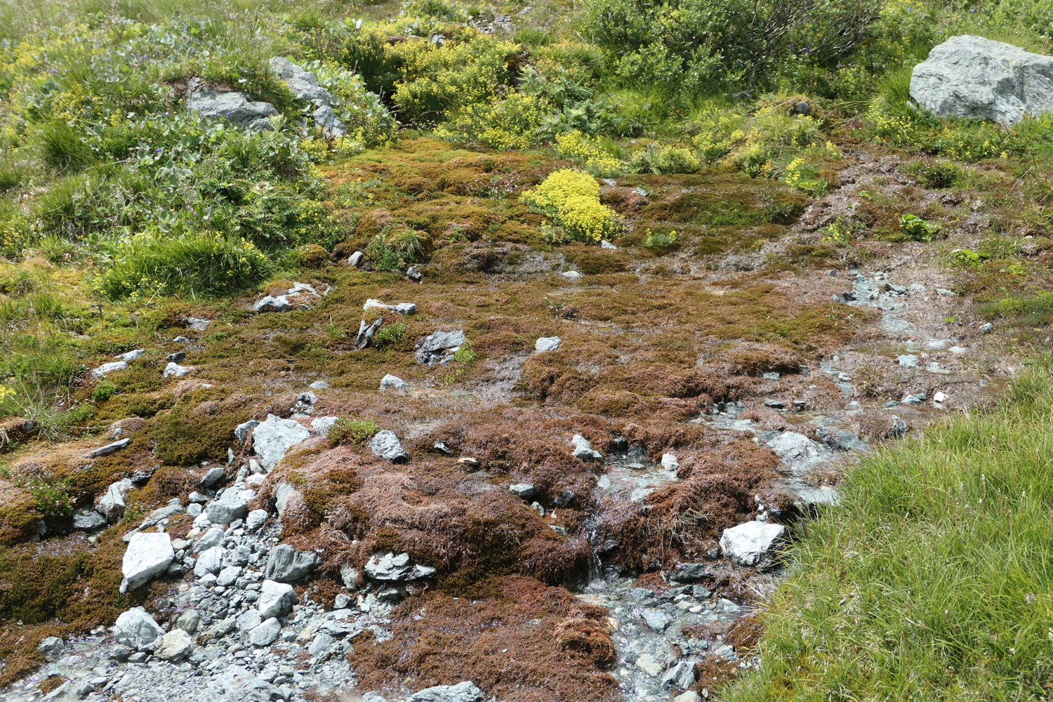 p1020946.jpg