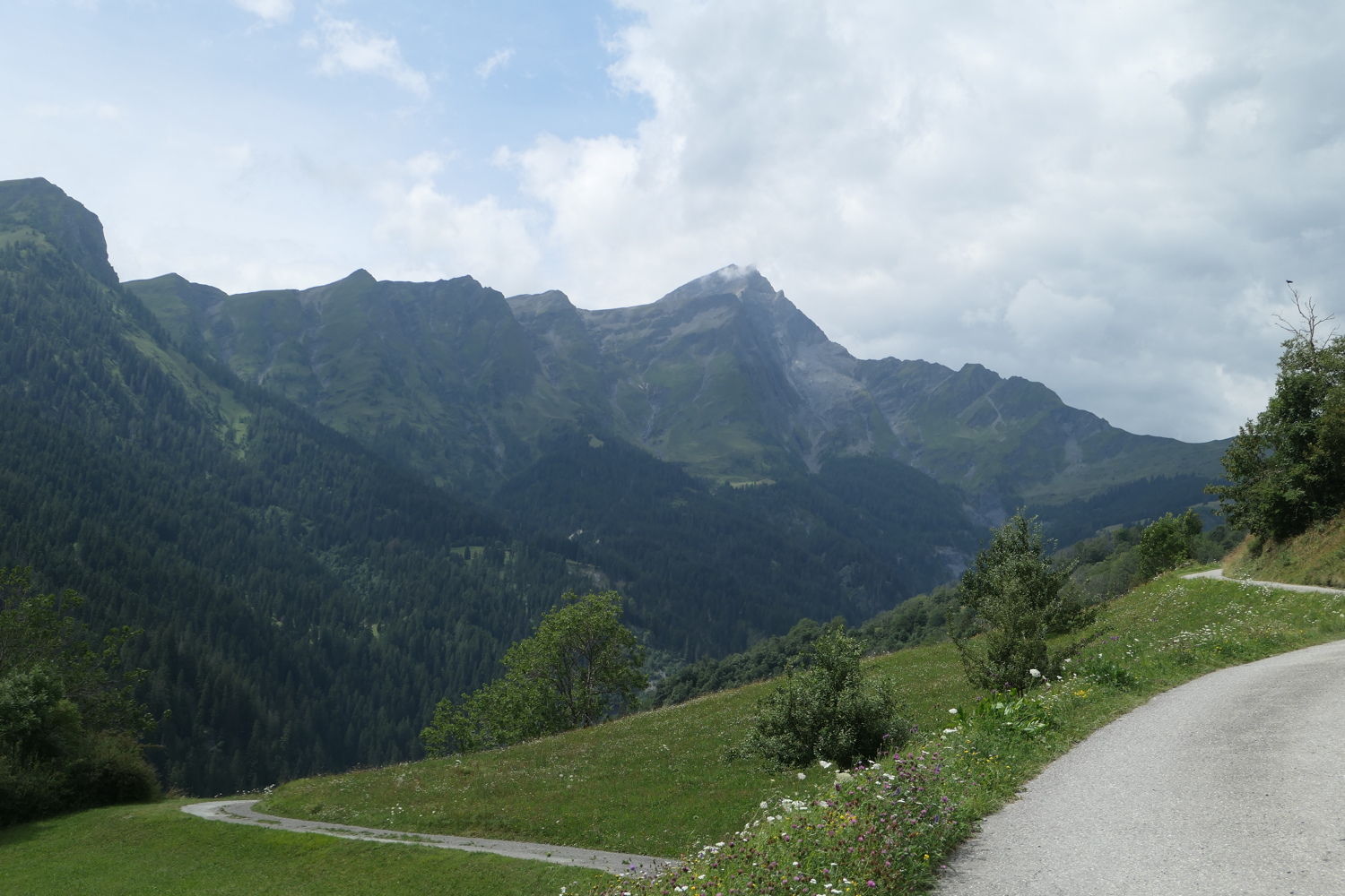 p1020973.jpg