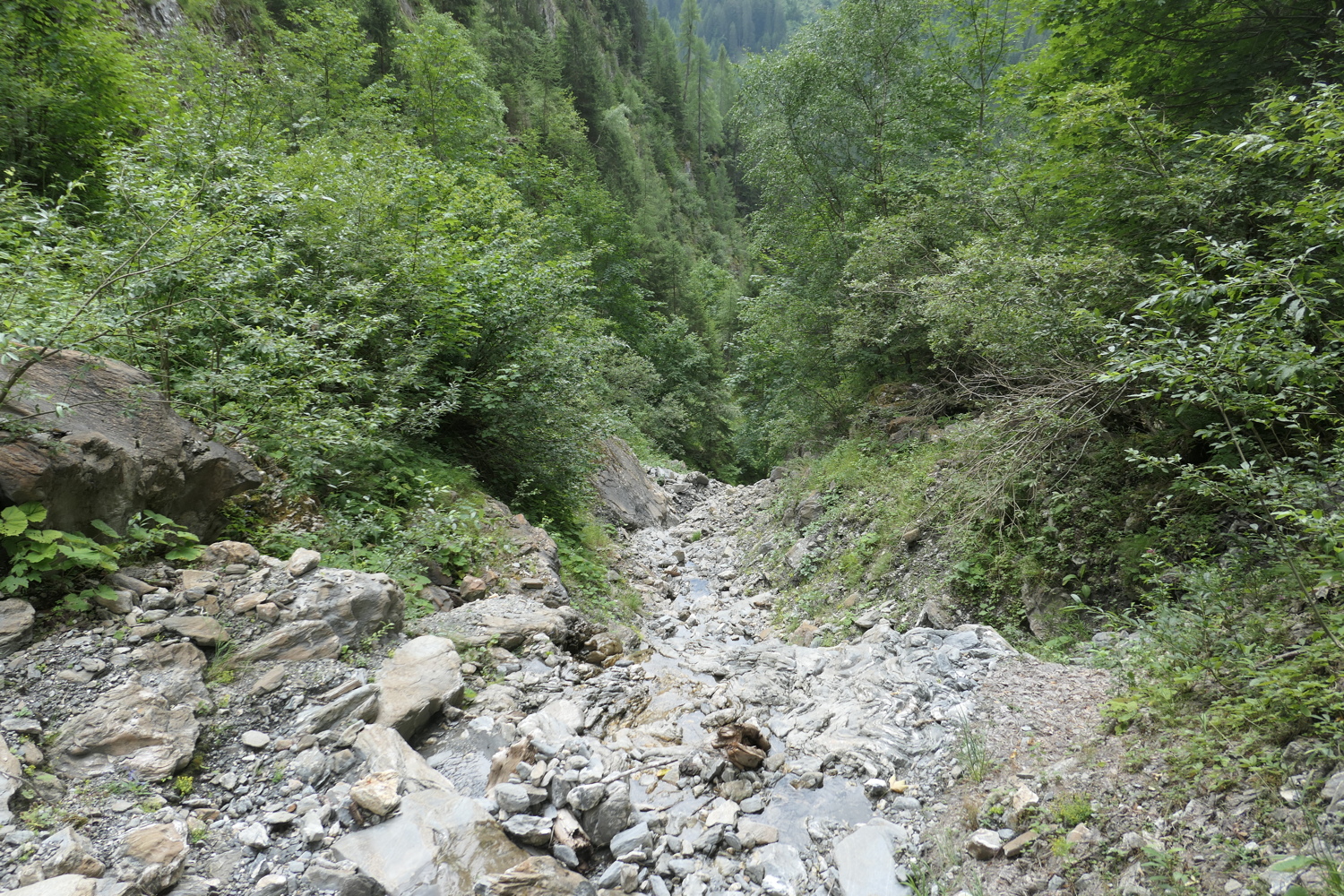 p1020980.jpg