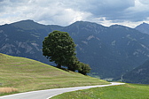 p1020974.jpg