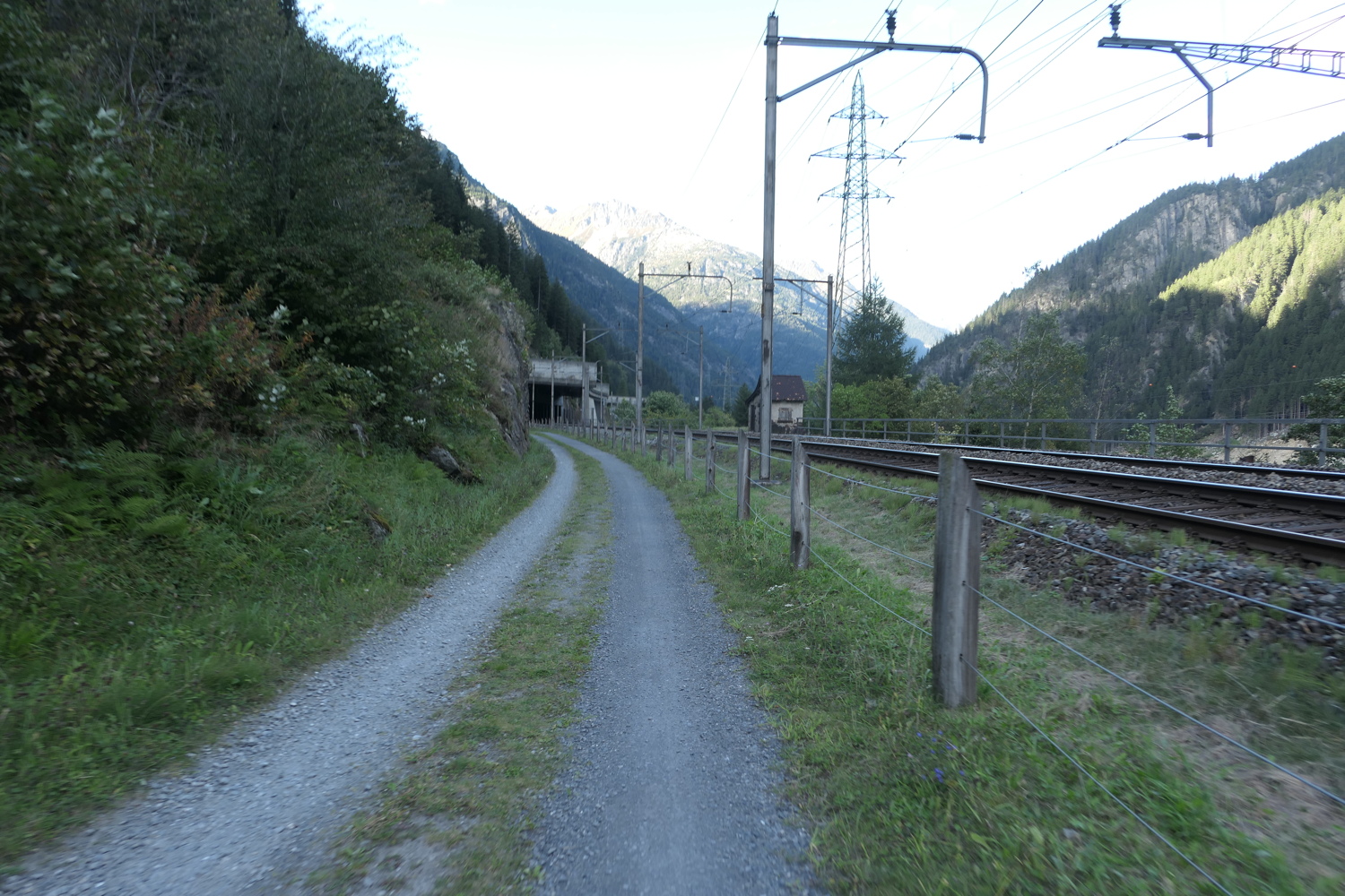 p1030631.jpg