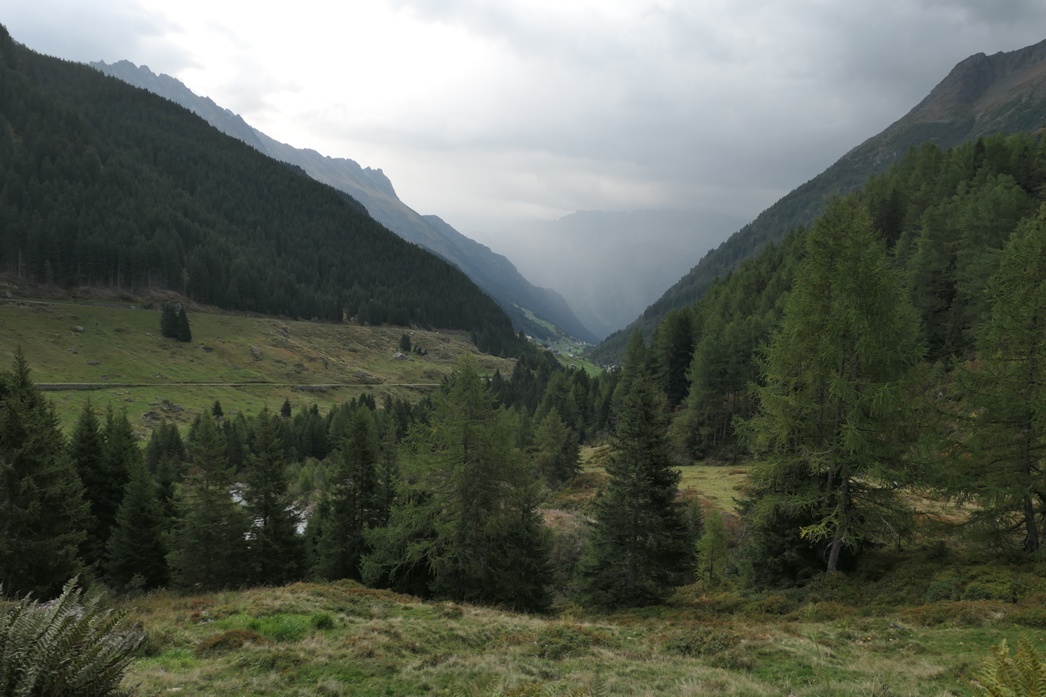 p1030642.jpg