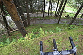 p1030652.jpg