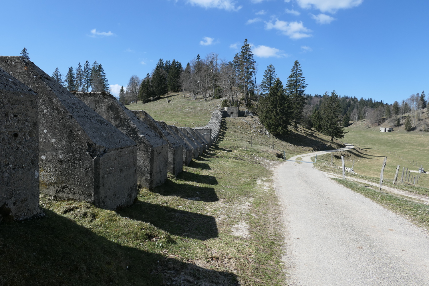 p1010762.jpg