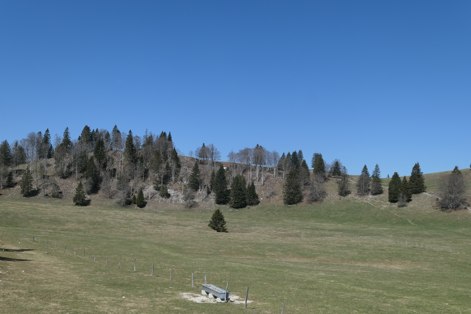 p1010763.jpg