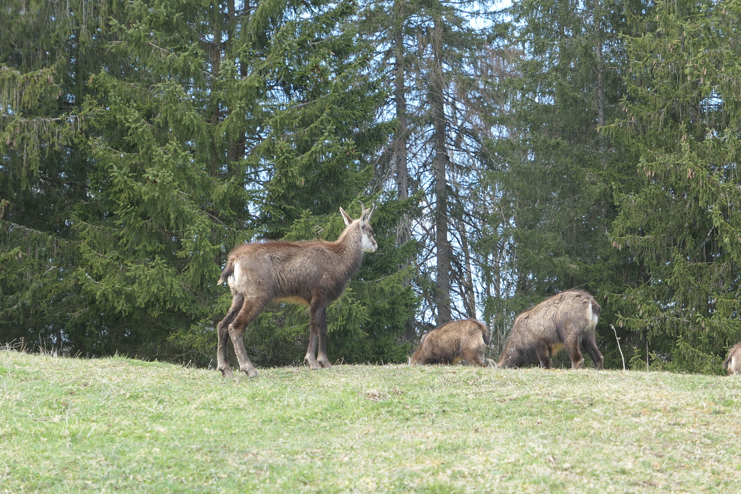 p1010780.jpg