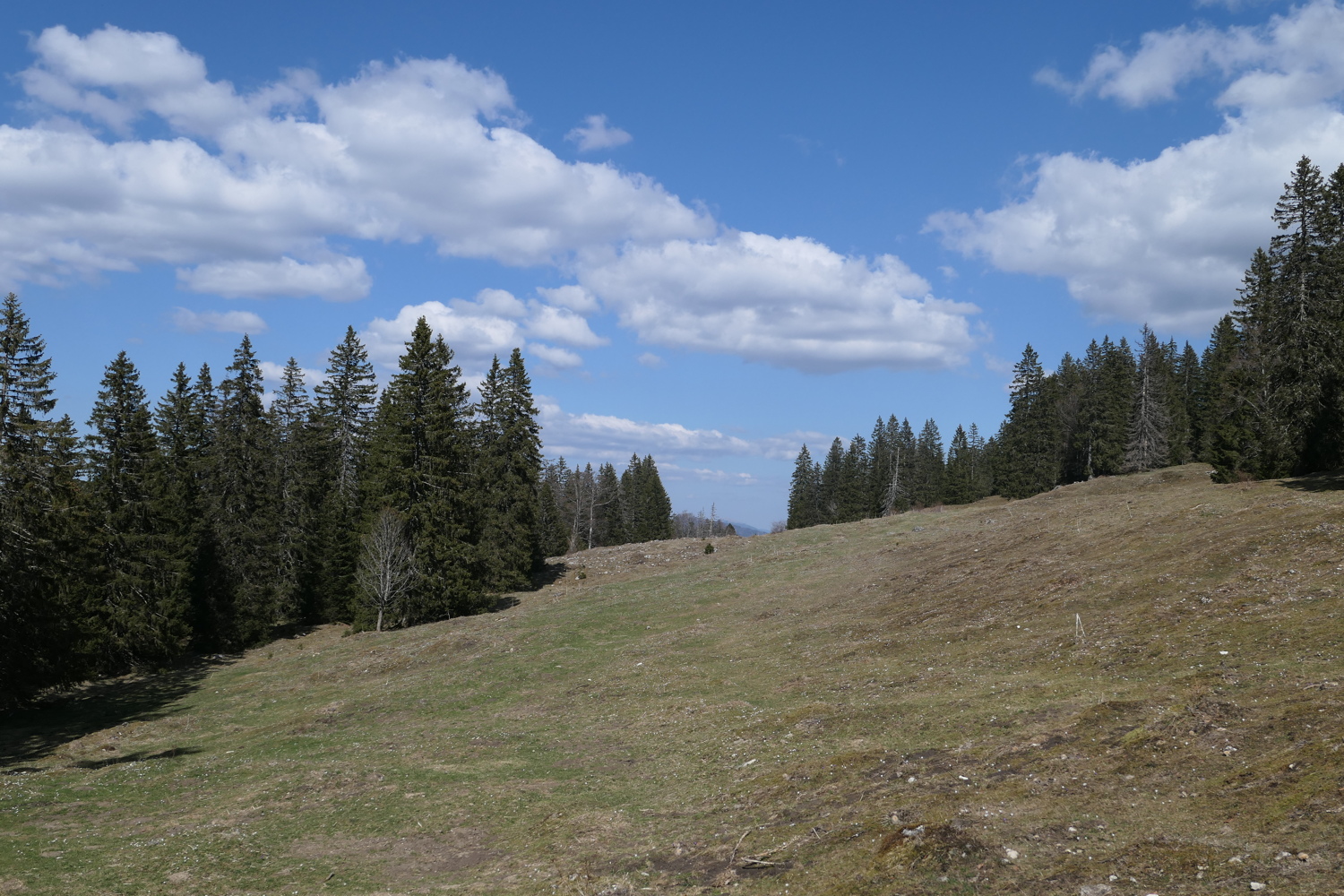 p1010785.jpg