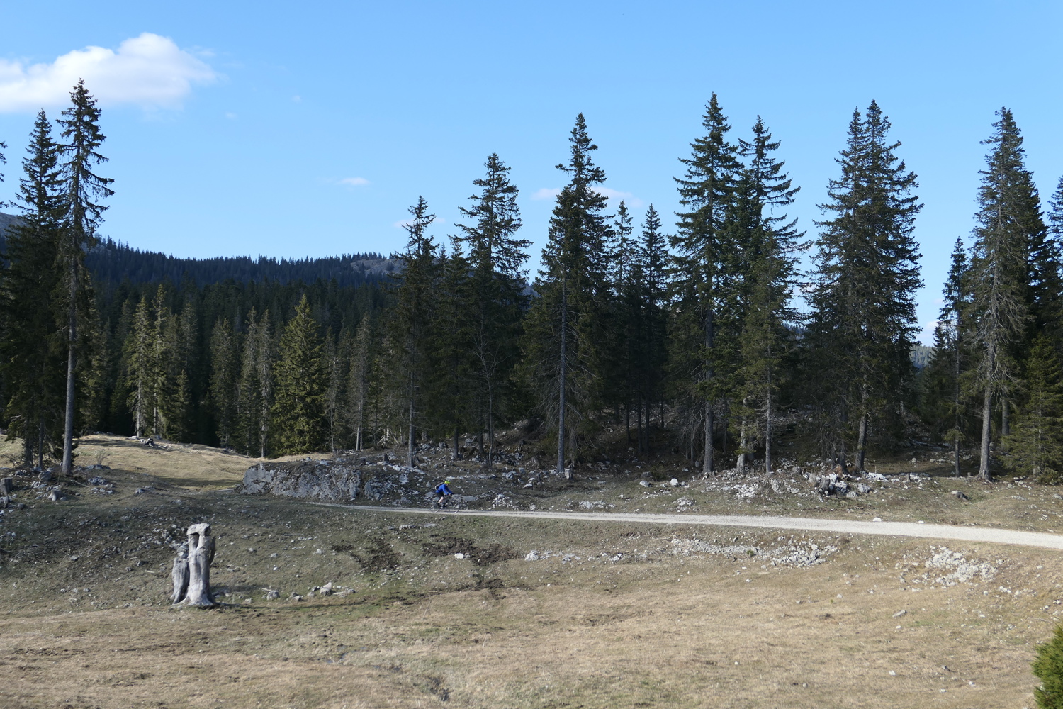 p1010801.jpg