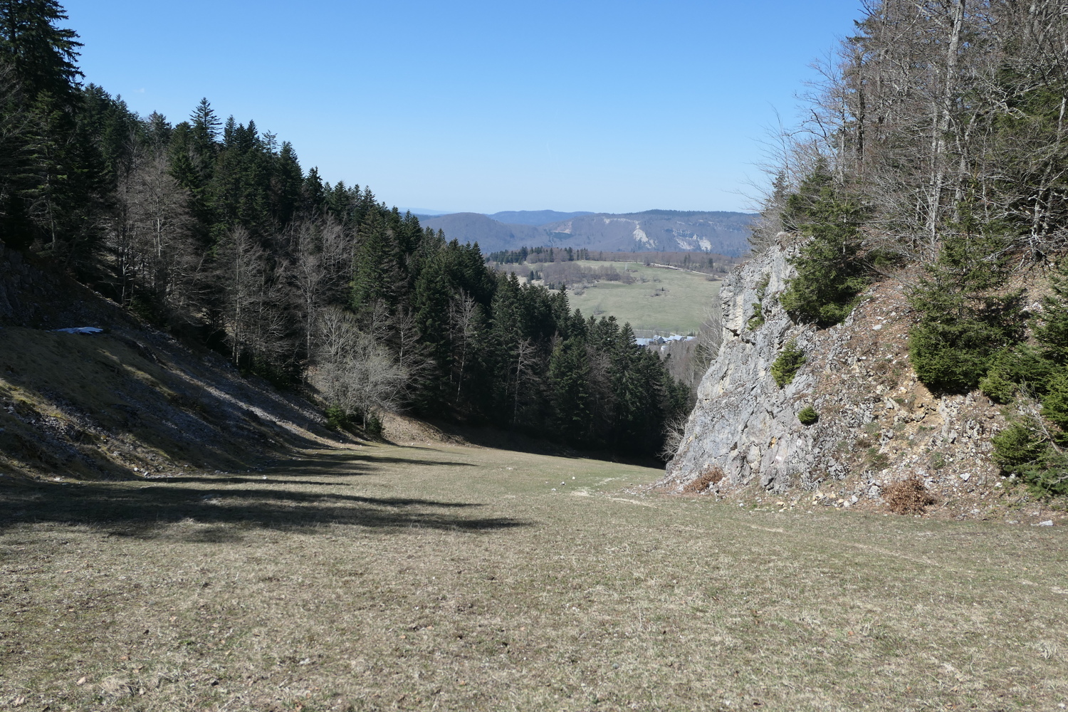 p1010815.jpg