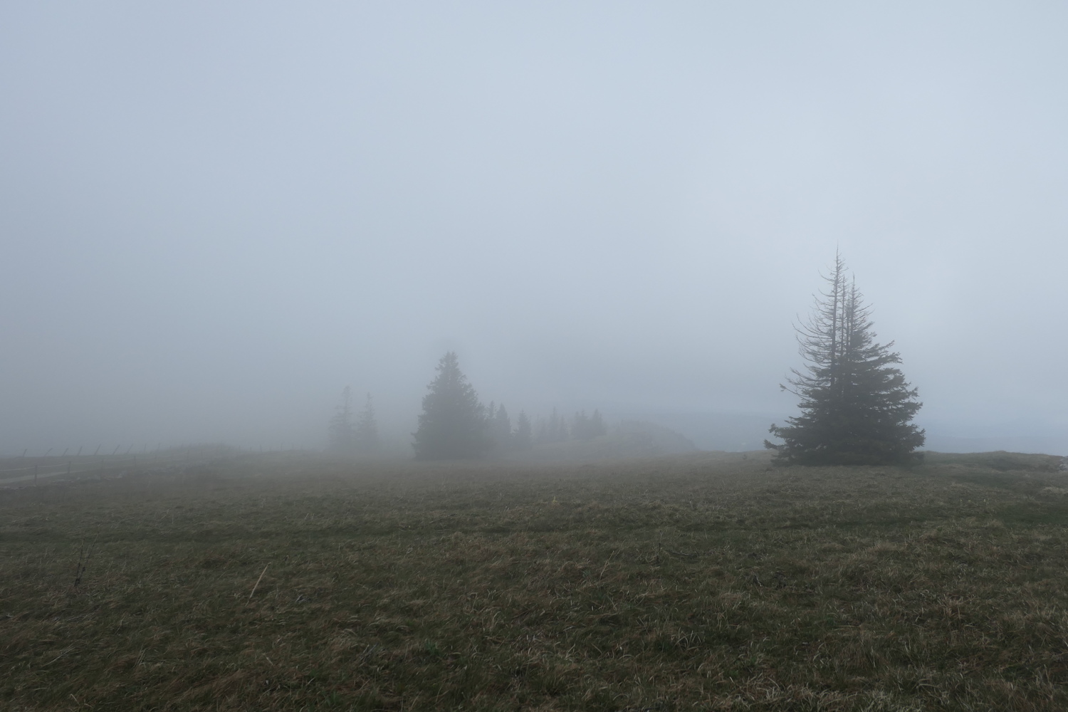 p1010923.jpg