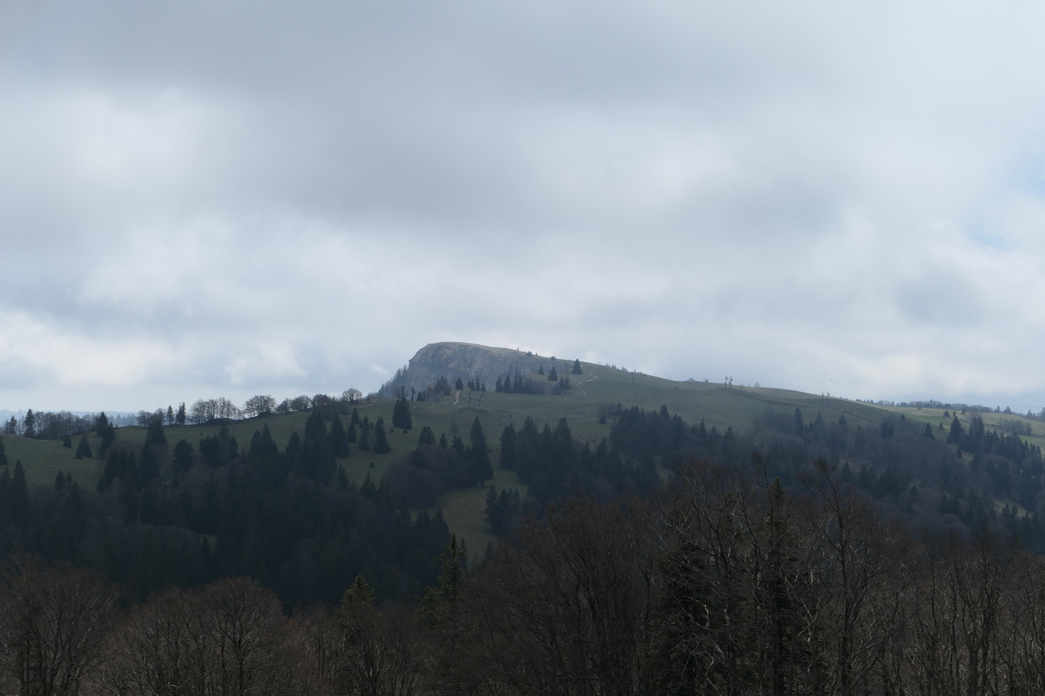 p1010929.jpg