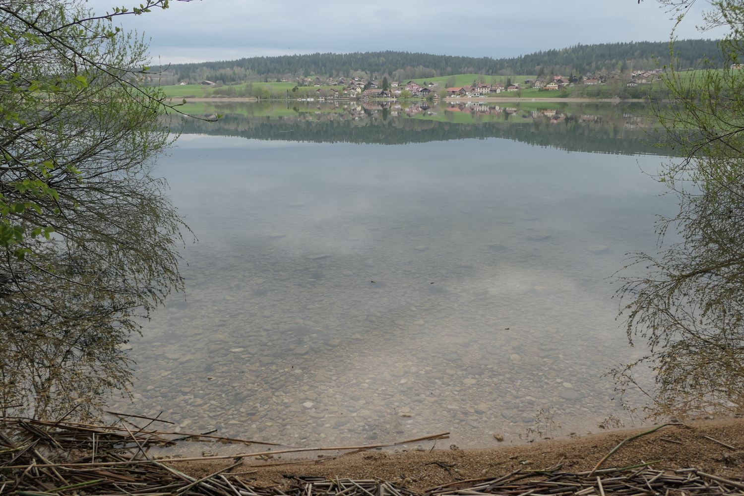 p1010938.jpg