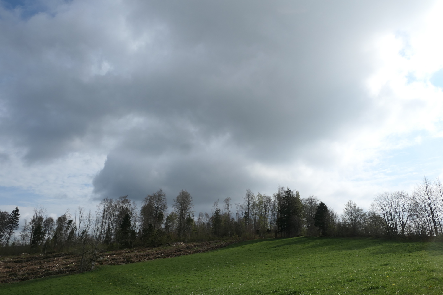 p1010939.jpg