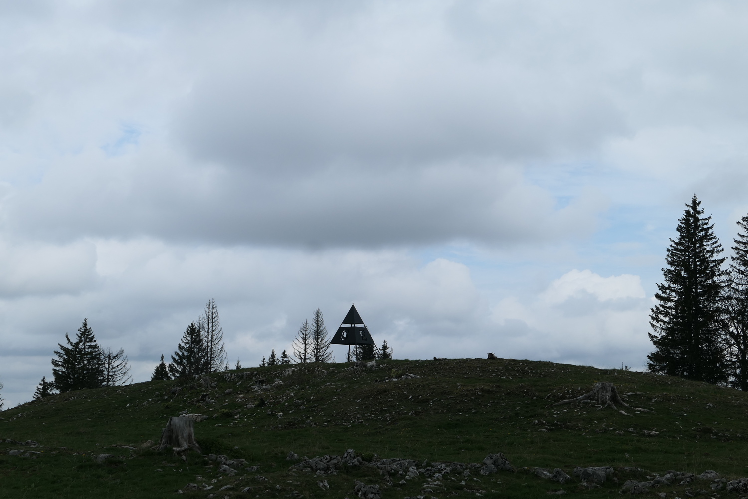 p1010946.jpg
