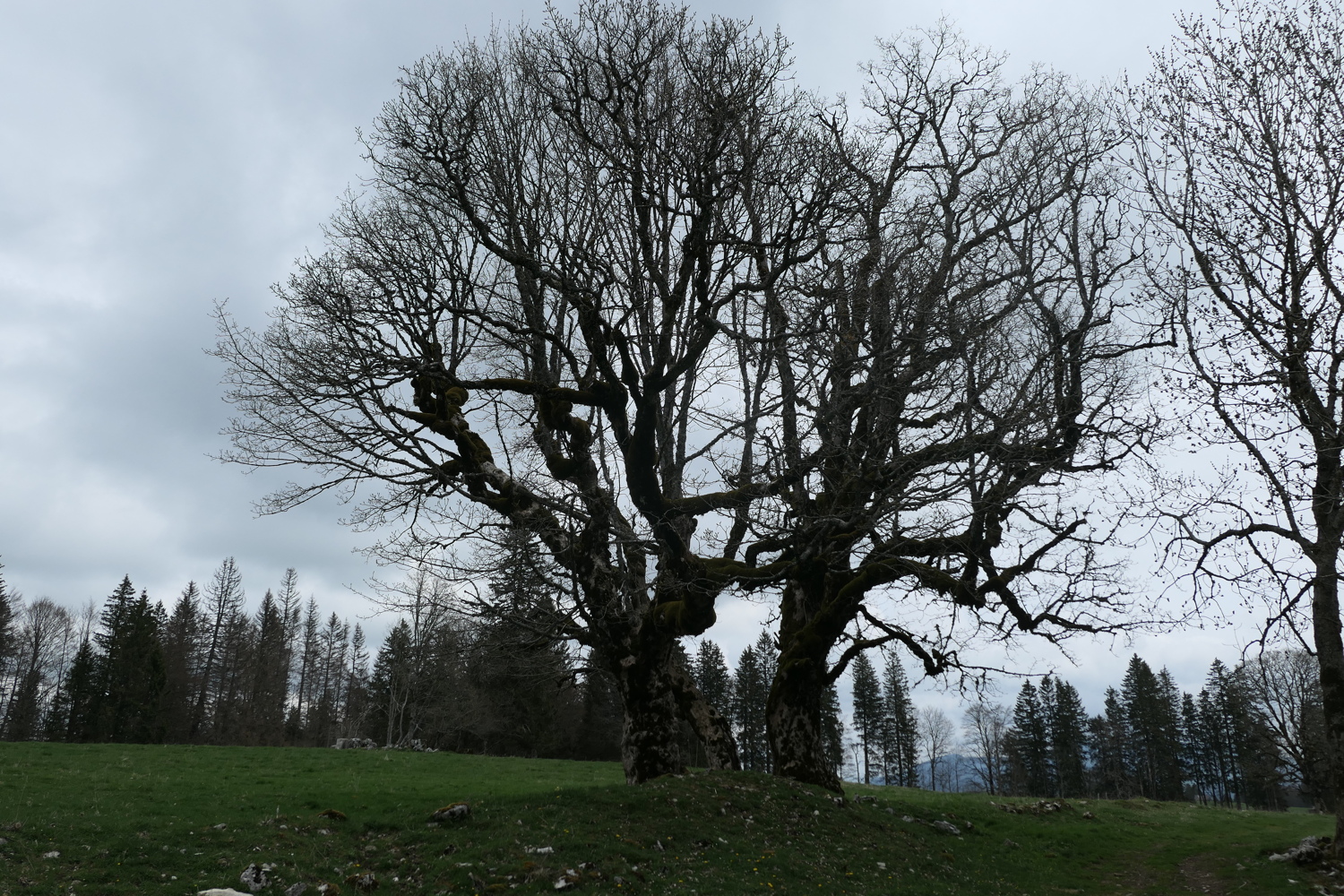 p1010948.jpg
