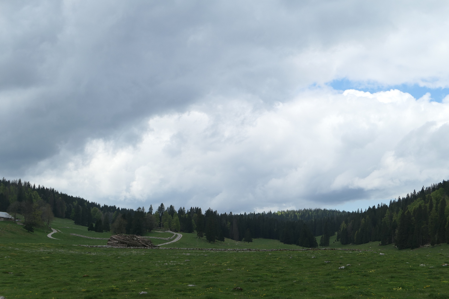 p1020101.jpg