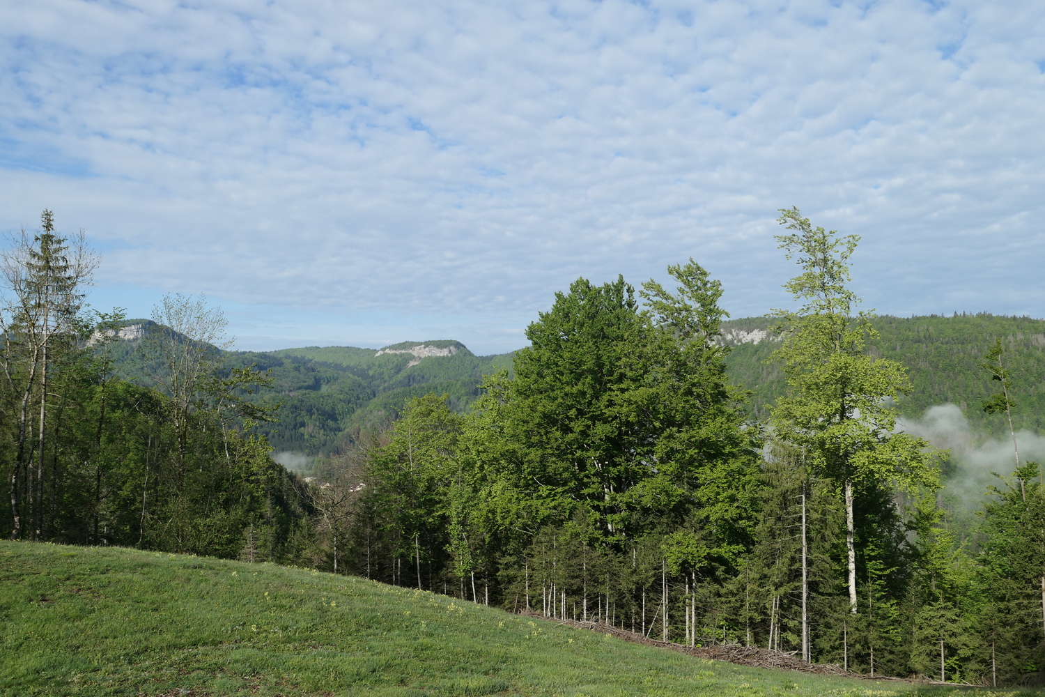 p1020129.jpg