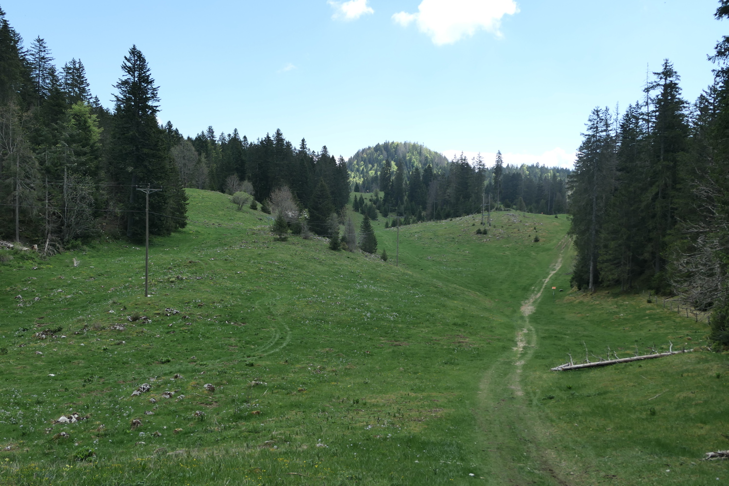 p1020147.jpg