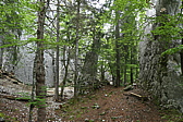 p1020110.jpg