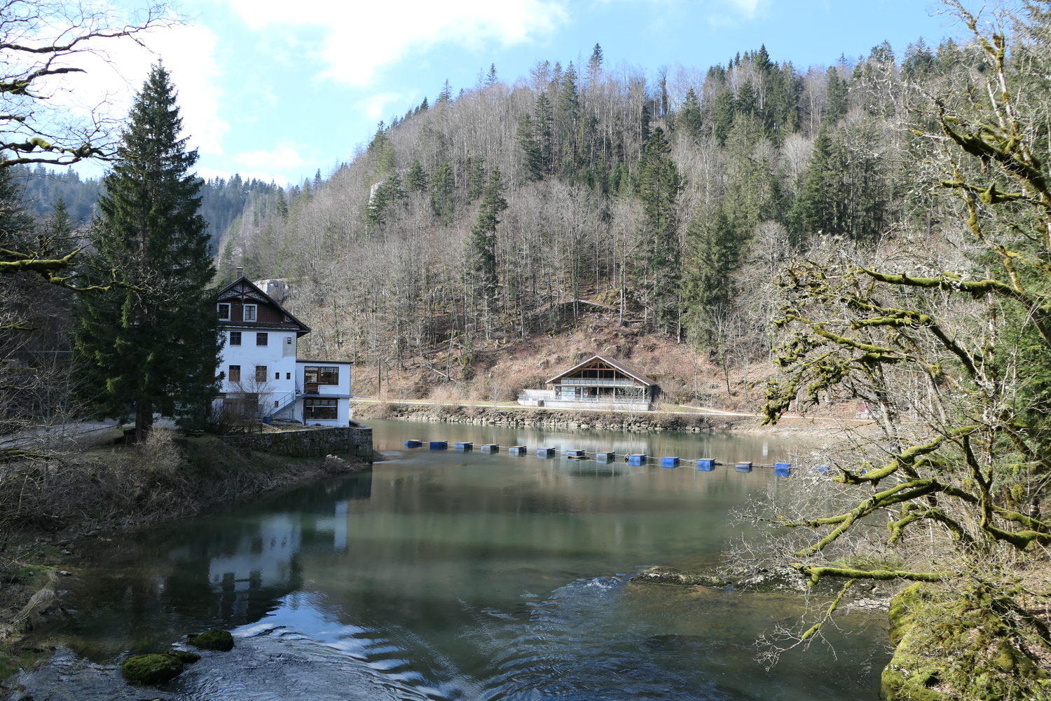 p1010512.jpg