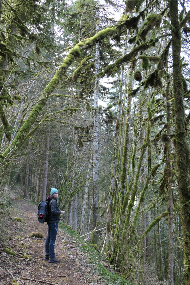 p1010537.jpg